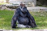 FW 2005-04-16 Zoo